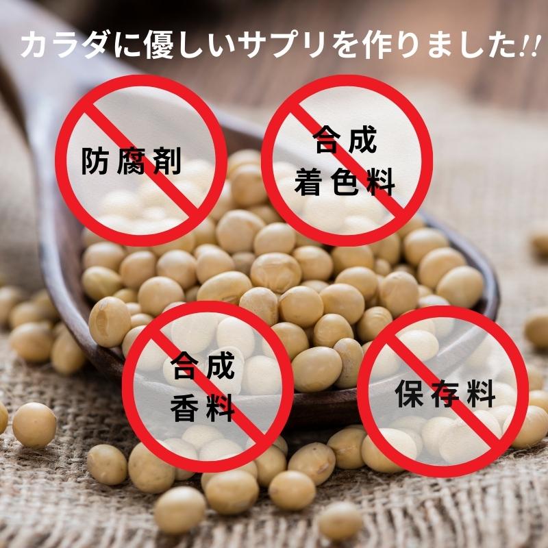 フェリチン鉄 サプリ 10mg 乳酸菌400億個 葉酸200μg 30日 60粒 錠剤 栄養機能食品 ビタミンD 貯蔵鉄 |  | 13