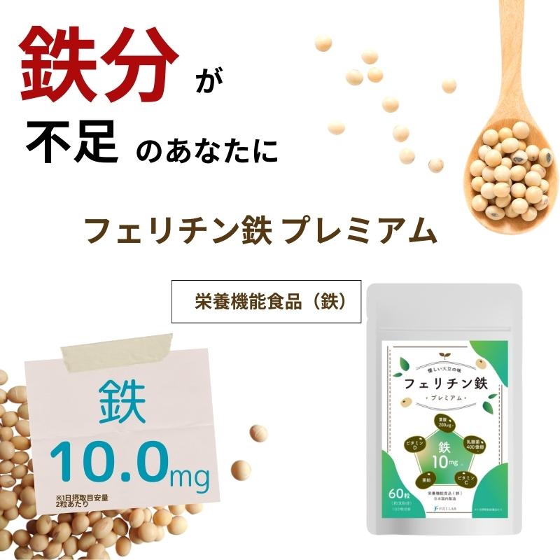 フェリチン鉄 サプリ 10mg 乳酸菌400億個 葉酸200μg 30日 60粒 錠剤 栄養機能食品 ビタミンD 貯蔵鉄 |  | 06