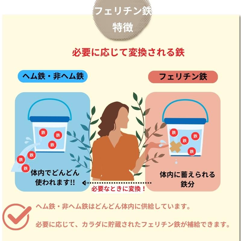 フェリチン鉄 サプリ 10mg 乳酸菌400億個 葉酸200μg 30日 60粒 錠剤 栄養機能食品 ビタミンD 貯蔵鉄 |  | 10