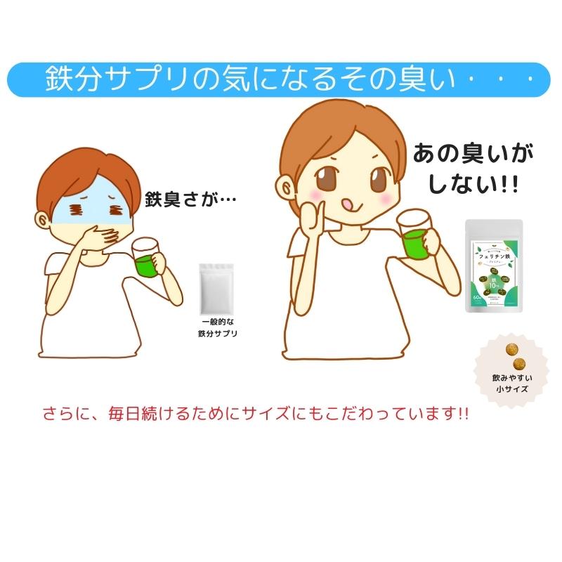 フェリチン鉄 サプリ 10mg 乳酸菌400億個 葉酸200μg 30日 60粒 錠剤 栄養機能食品 ビタミンD 貯蔵鉄 |  | 12