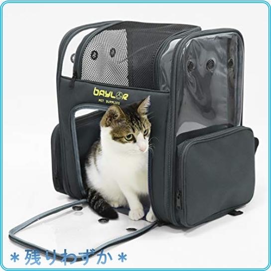 Bingopaw 猫キャリーバッグ リュック 大型 2匹 大容量 透明 ペットキャリーケース うさぎ 小型犬 鳥 9kg以下 猫リュ Dnj Roomy 通販 Yahoo ショッピング