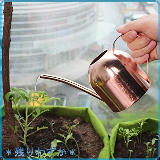 じょうろ おしゃれ ステンレス 小型 水差し 園芸 観葉植物 ジョーロ ピンクゴールド 450ml Wssj B0868gnm98 Roomy 通販 Yahoo ショッピング