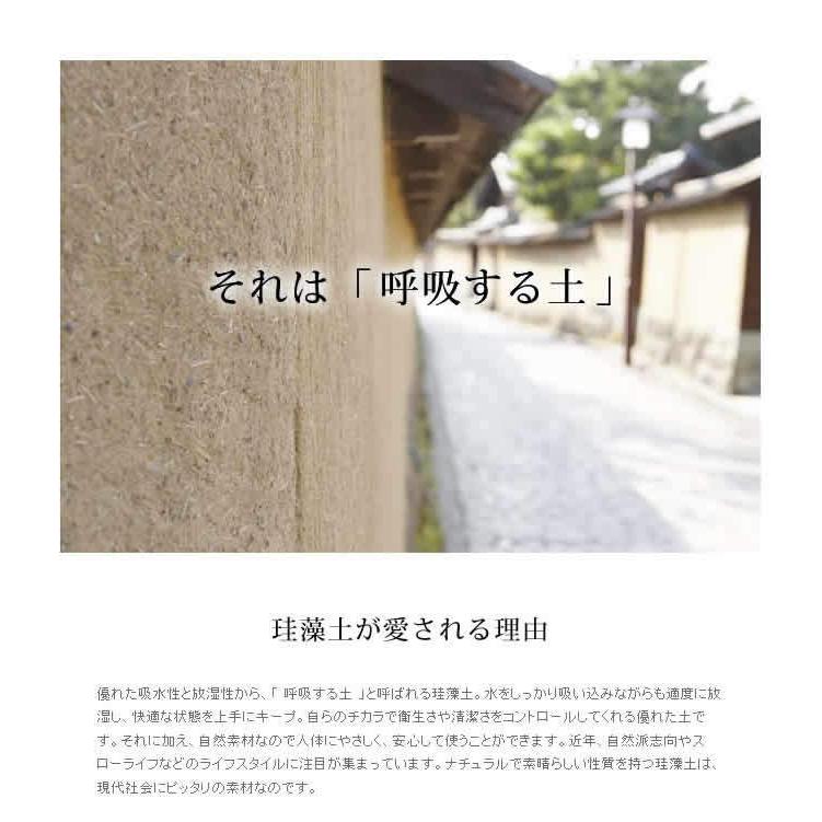特典付 soil バスマット 珪藻土 ソイル Lサイズ 日本製 大判 速乾 おしゃれ 大きい バスマット ［ ソイル バスマット ラージ ］の画像