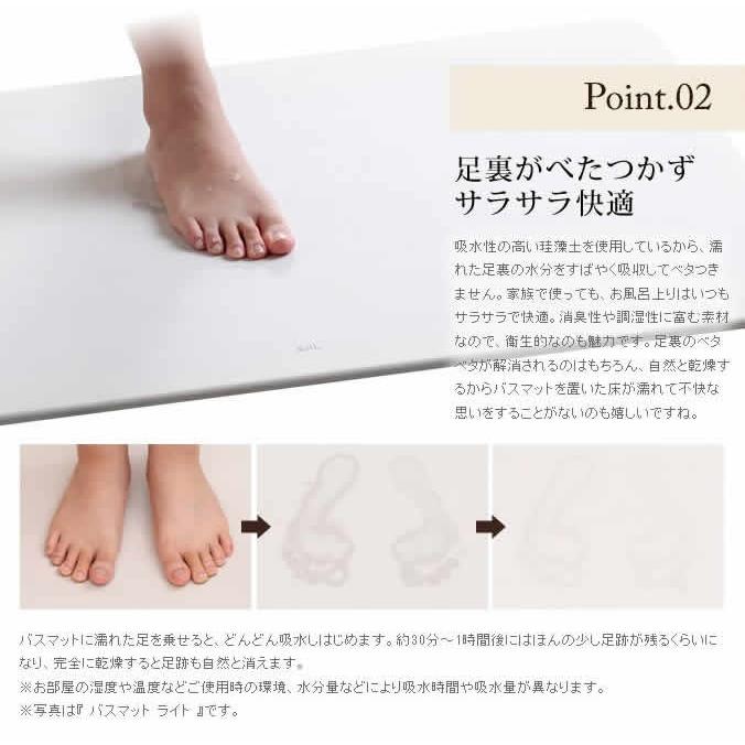 soil(珪藻土) 特典付 soil バスマット 珪藻土 ソイル Lサイズ