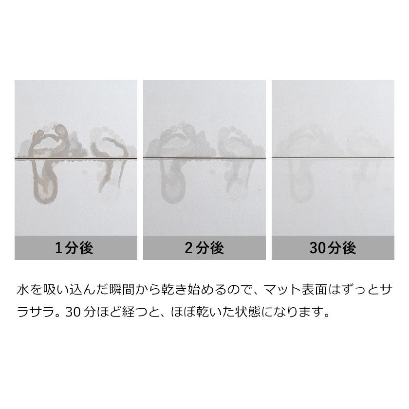 h-concept 特典付 珪藻土バスマット アスベスト不使用 日本製 h-concept 特典付 珪藻土バスマット アスベスト不使用 日本製