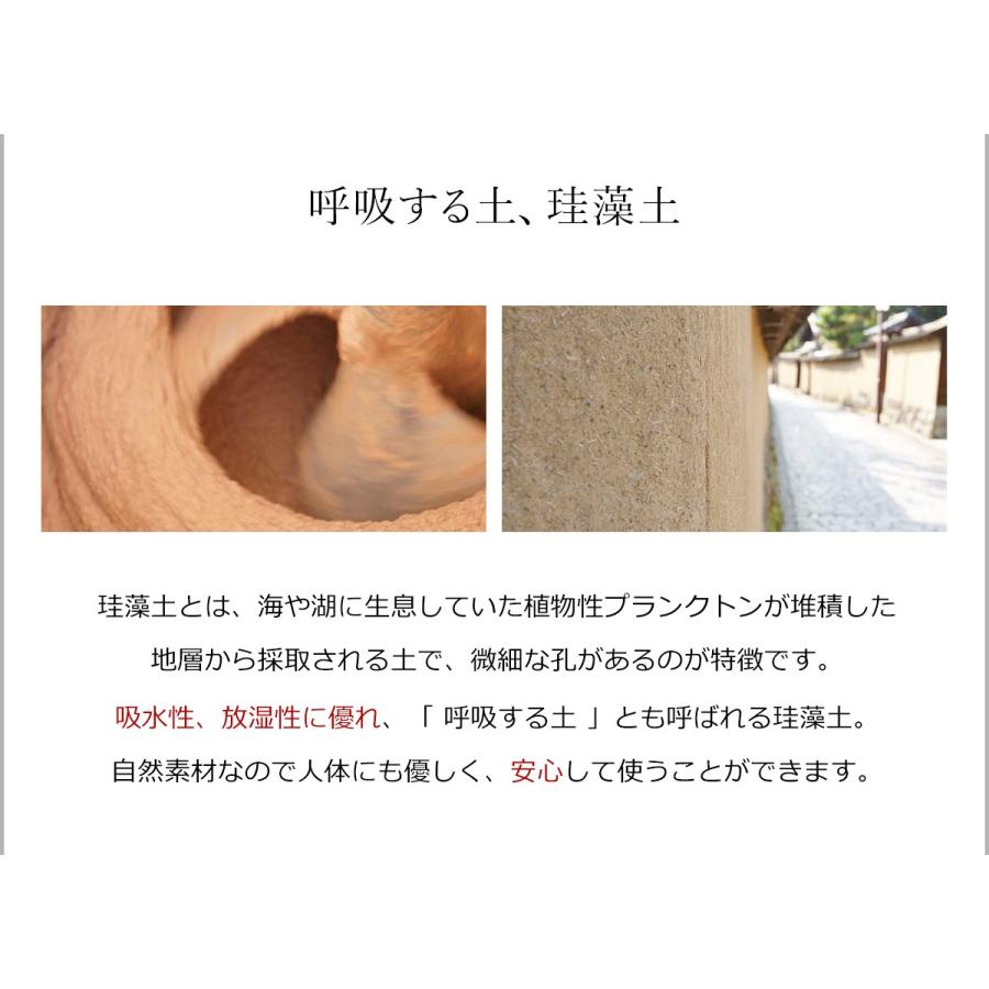 特典付［ ソイル ドライングボードライト L ］soil 珪藻土マット ドライングマット 水切りマット 珪藻土 キッチン 日本製 おしゃれ 水切りトレーの画像