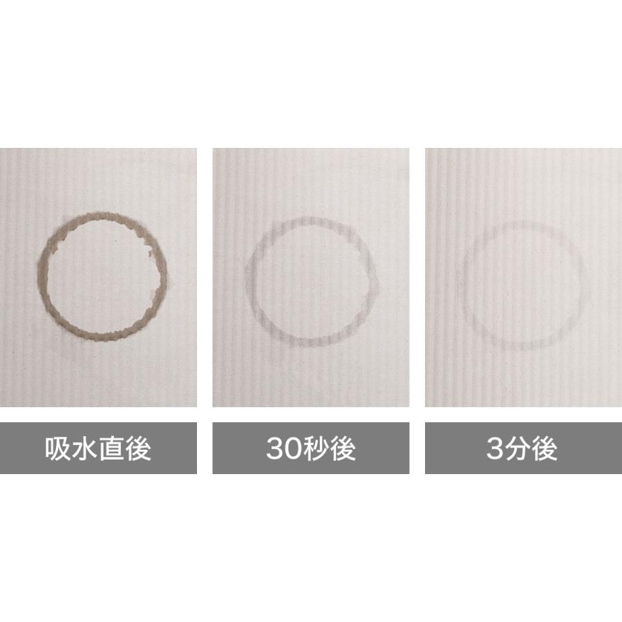 特典付［ ソイル ドライングボードライト L ］soil 珪藻土マット ドライングマット 水切りマット 珪藻土 キッチン 日本製 おしゃれ 水切りトレー