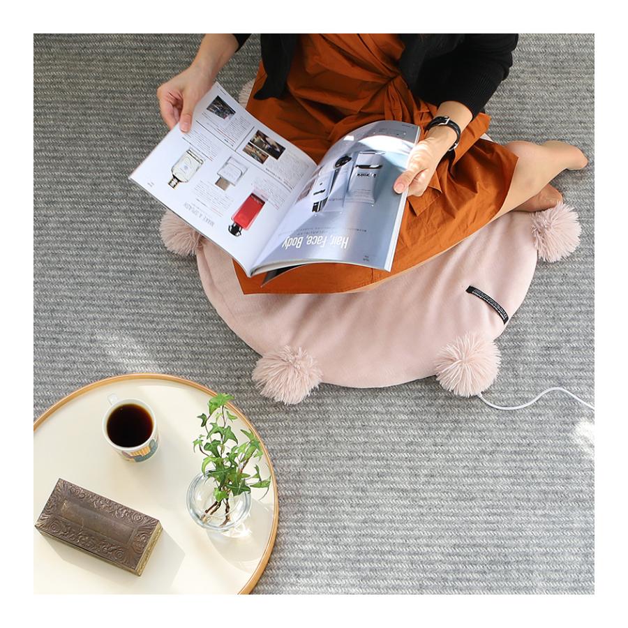 ルルド ふわポカエリア 電気マット ホットカーペット ミニ 1人用