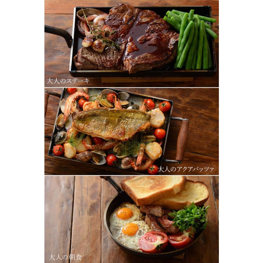 大人の鉄板 フライパン26cm 蓋付き ］特典付 鉄 26cm ステーキ レシピ