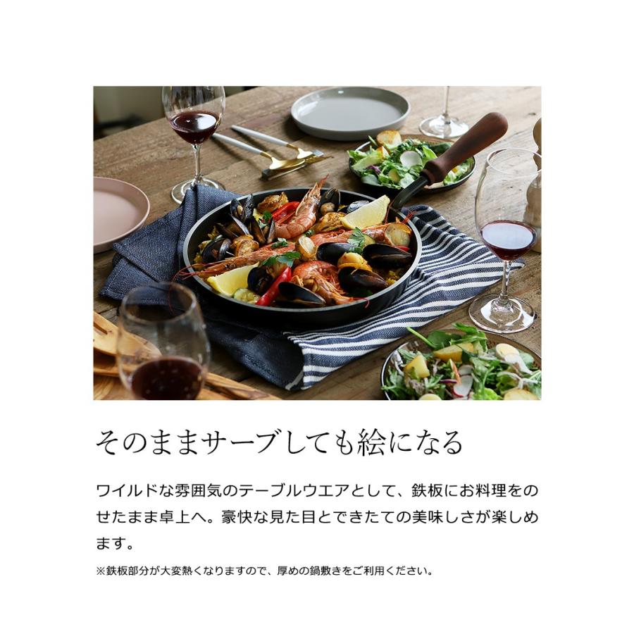 大人の鉄板 フライパン26cm 蓋付き ］特典付 鉄 26cm ステーキ レシピ