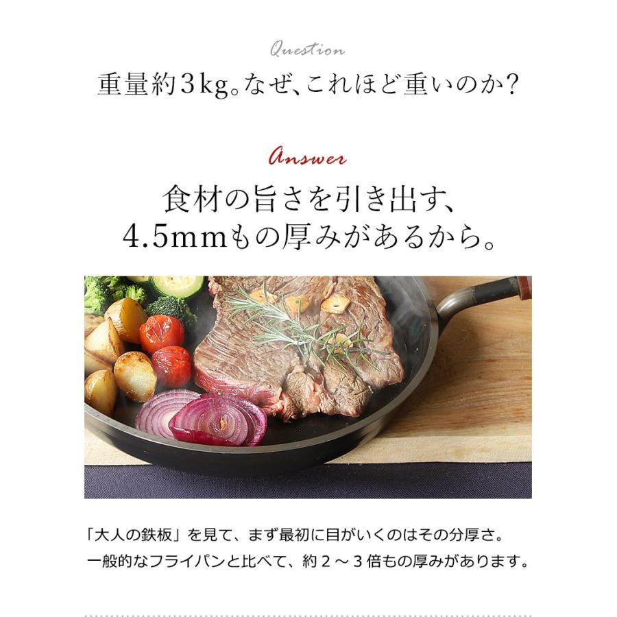 大人の鉄板 フライパン26cm 蓋付き ］特典付 鉄 26cm ステーキ レシピ