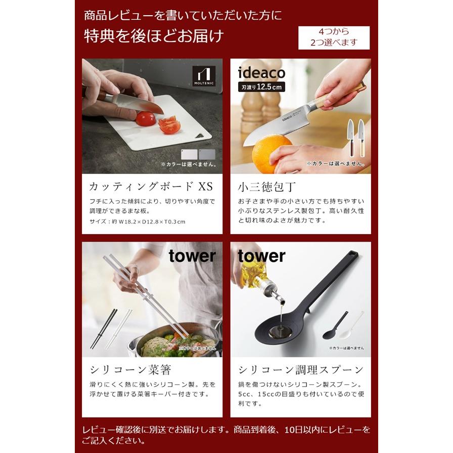 未使用品   プリンセス　プレート 25cm 2枚 プリンセス 【特典付き】プレート2枚セット ホットプレート