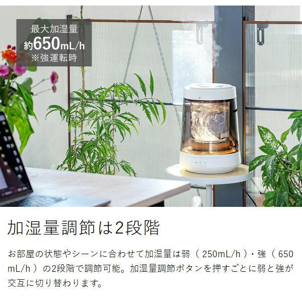 特典付［ CORED ガラススチーム加湿器 ］加湿器 ガラス スチーム式 大