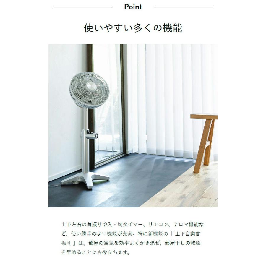 kamomefan 特典付［ Kamomefan＋c lite 2 ］カモメファン プラスシー