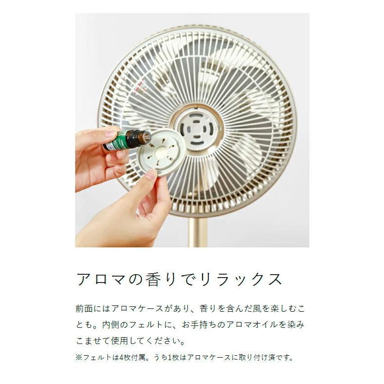 kamomefan 特典付［ Kamomefan＋c lite 2 ］カモメファン プラスシー