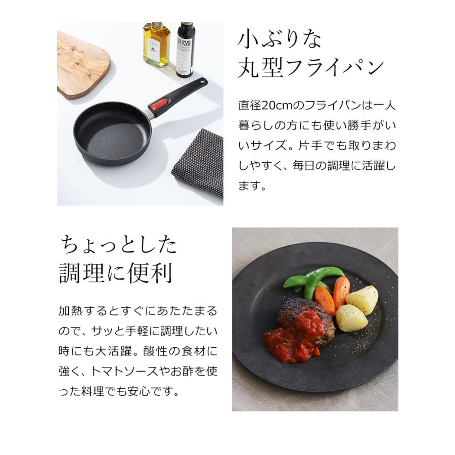WOLL フライパン 20cm ドイツ製 取っ手が取れる こびりつかない PFOA