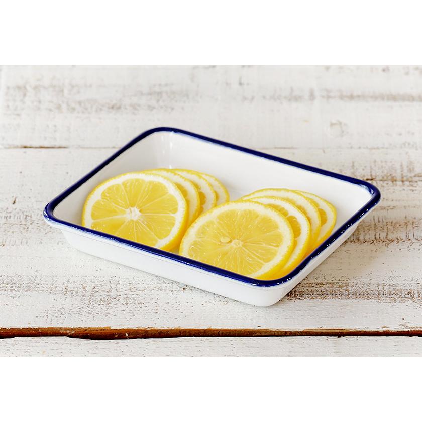 行先板琺瑯両面サボ2枚セットです。 行先板琺瑯両面サボ2枚セットです