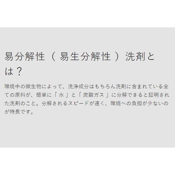 ［ 海へ…Fukii 詰替えパック 380g 2個セット ］海へ 洗剤 2個組 詰め替え がんこ本舗 すすぎ0回 洗濯洗剤 fukii 中性洗剤 節水 エコ洗剤 赤ちゃん フッキ―｜roomy｜05