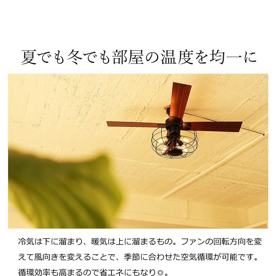 特典付［ VINTAGE Collection シーリングファン JE-CF002V