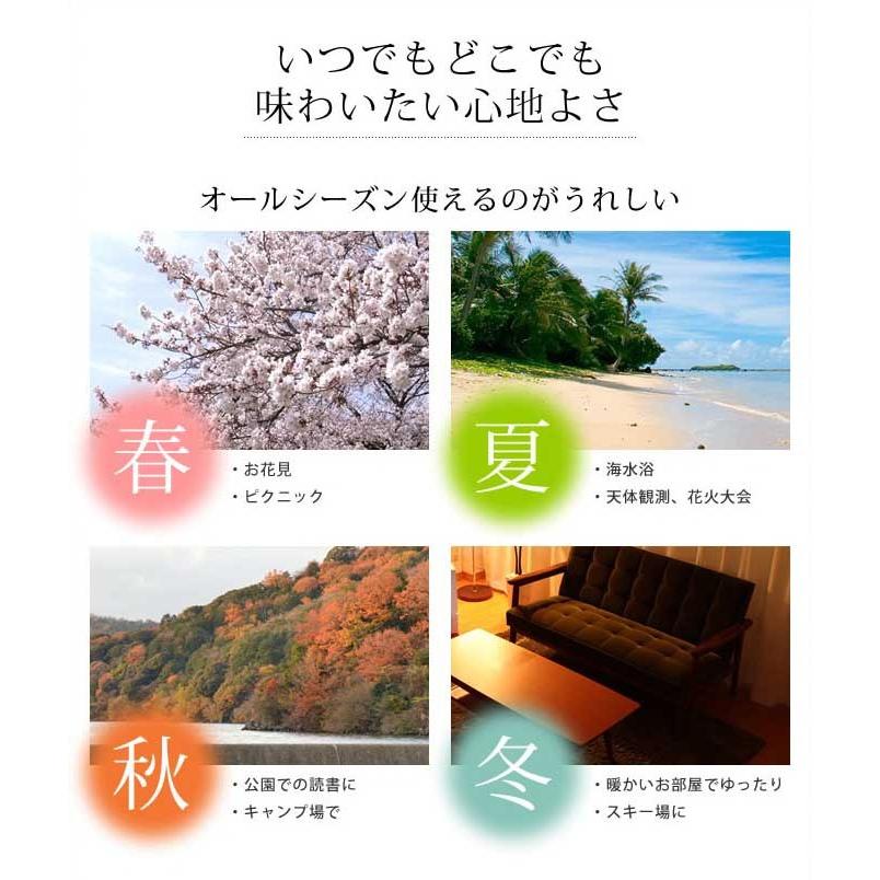 特典付［ 3WAY自立式ポータブルハンモック＆ハンモックチェア +One C-2 WOOD ］ハンモック 自立式 3WAY 室内自立式ハンモック ハンモックチェアー シフラスの画像
