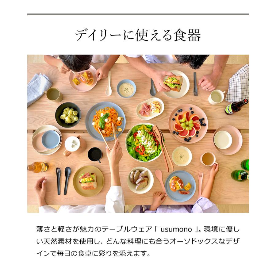 ideaco（イデアコ） ［ ideaco usumono plate18oval ］プレート 皿