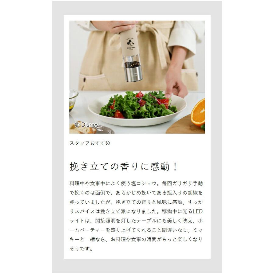 BRUNO（ブルーノ） ［ BRUNO DISNEY LEDライト付スパイスミル