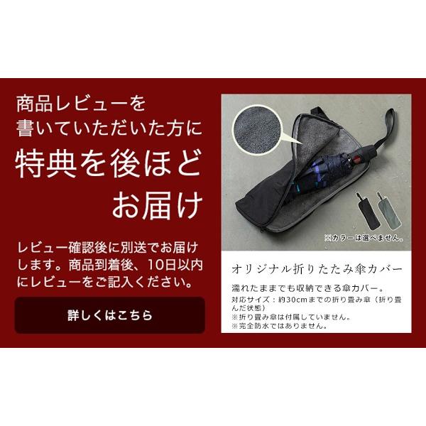 Knirps 【特典付き】クニルプス 折りたたみ傘 TS220 自動開閉 Knirps 【特典付き】クニルプス 折りたたみ傘 TS220 自動開閉
