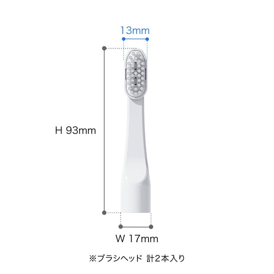 PLAQLES 交換用ブラシヘッド 2本入り ］プラクレス 替えブラシ 2本