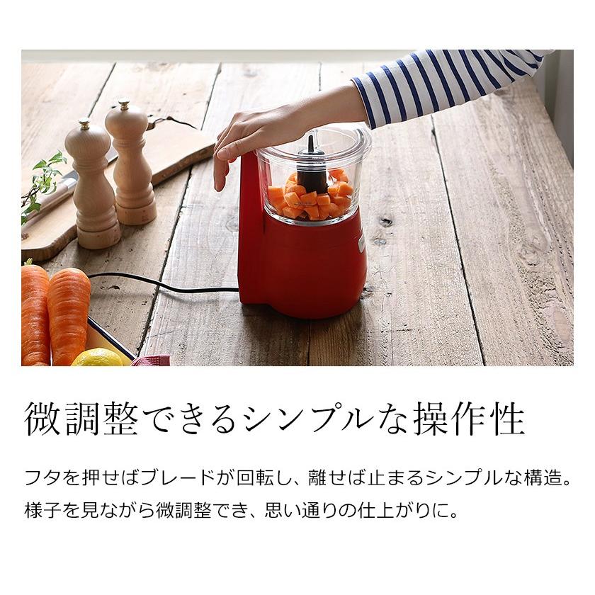 ビタントニオガラスチョッパー ビタントニオ（Vitantonio） ガラスチョッパー Vitantonio GALASS