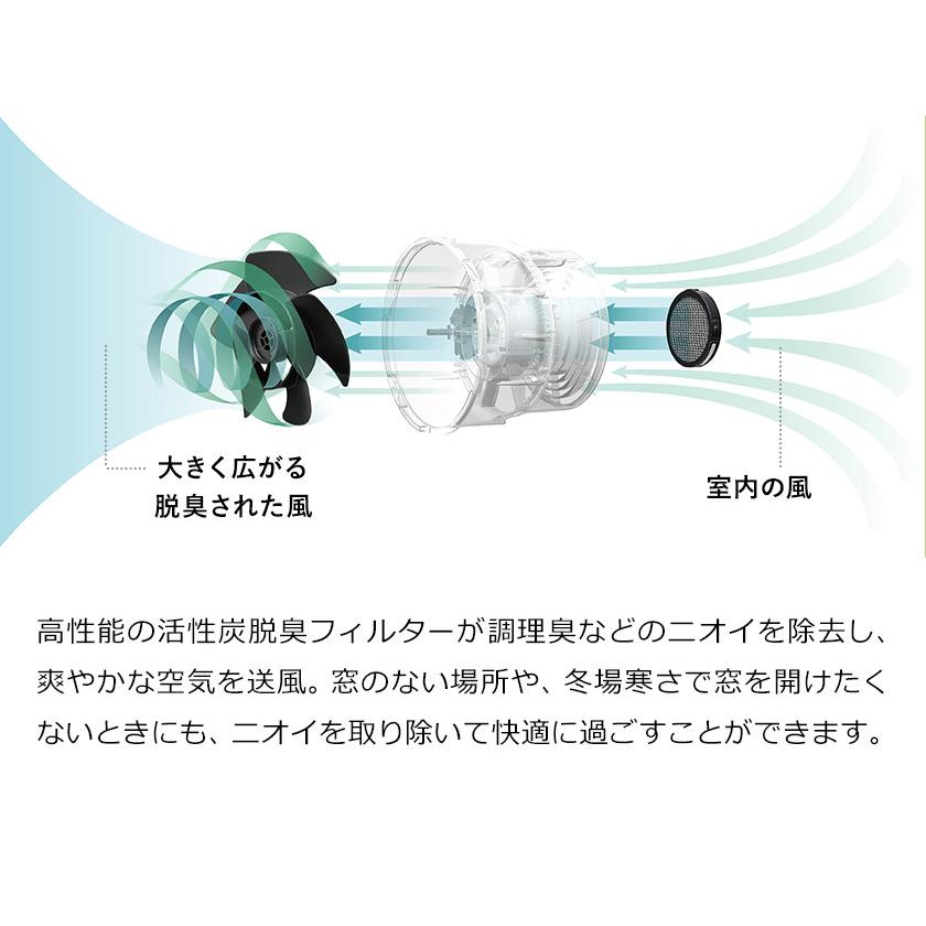 BALMUDA（バルミューダ） 脱臭フィルター グリーンファン C2