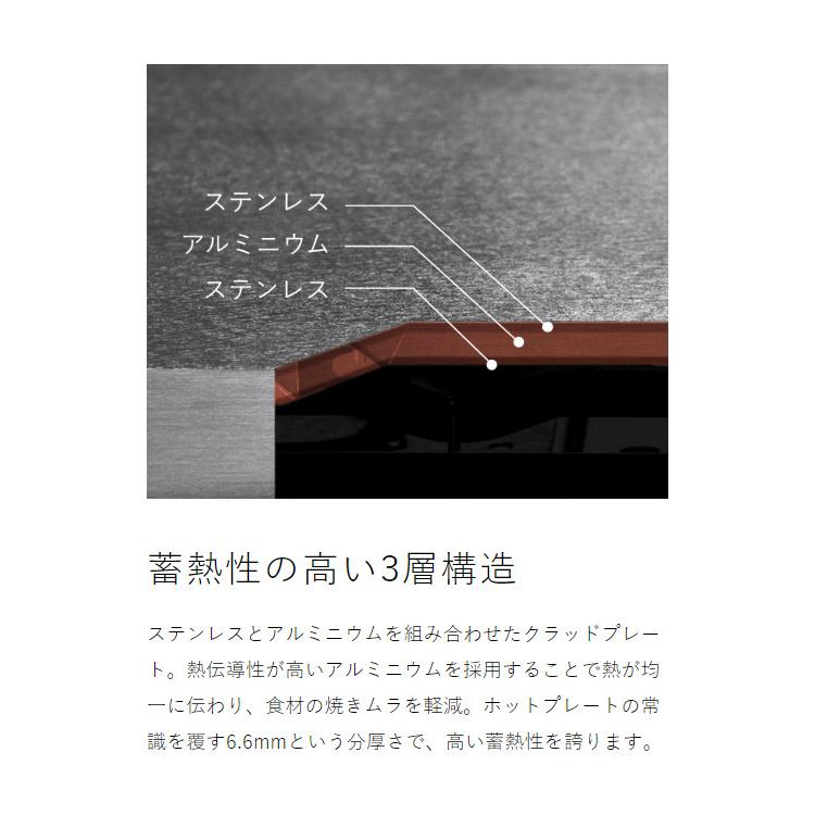 BALMUDA ［ The Plate Pro フルセット ］バルミューダ ザ