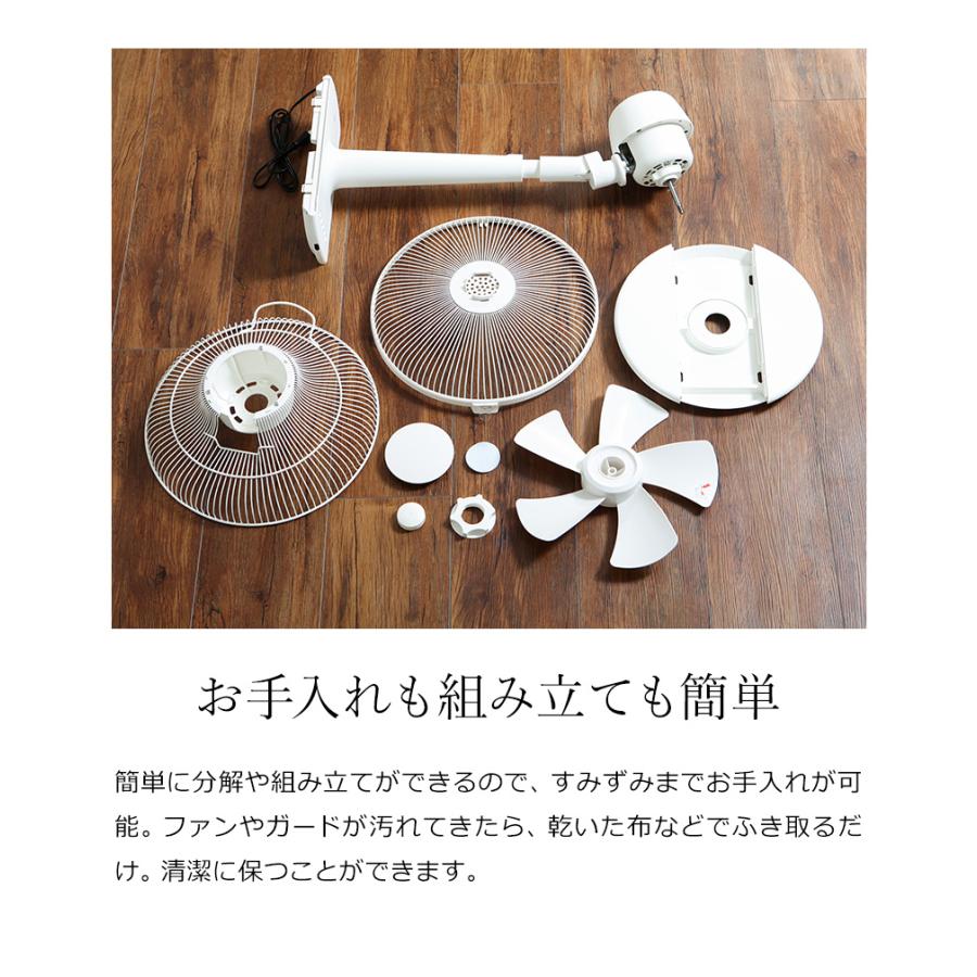 0（プラスマイナスゼロ） 選べる2大特典 リビング扇風機 XQS-Z120