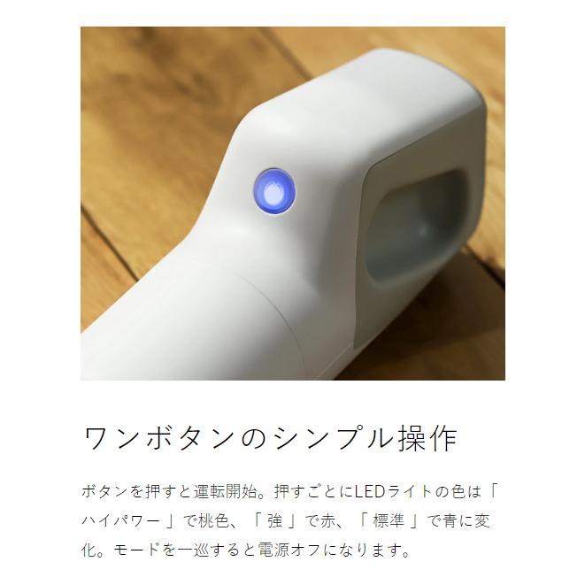 0（プラスマイナスゼロ） ハンディクリーナー G110 2大特典 コードレス