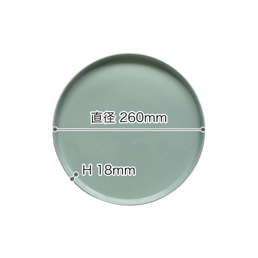 未使用品　大皿直径31センチ中皿直径26センチ お皿 メイン プレート 大皿 26cm 北欧 陶器 皿 26センチ 洋食器