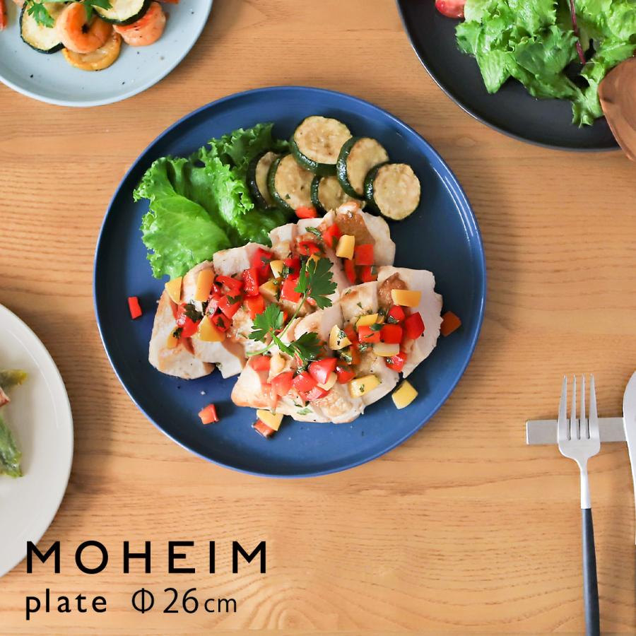 お皿 メイン プレート 大皿 26cm 北欧 陶器 皿 26センチ 洋食器