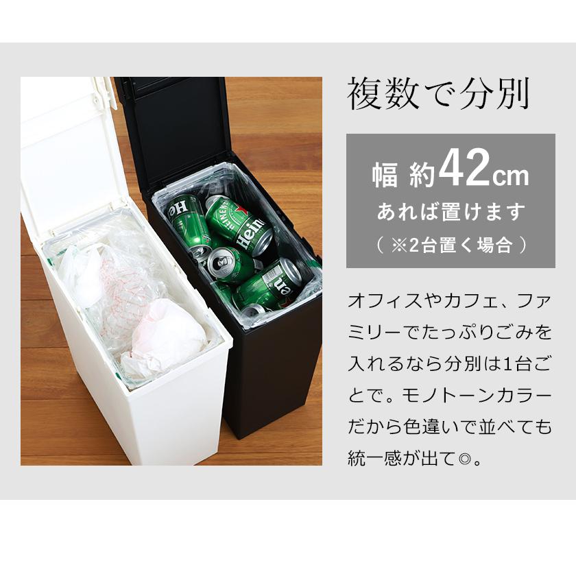 特典付き】ゴミ箱 30リットル キッチン カウンター下 分別 ふた付き