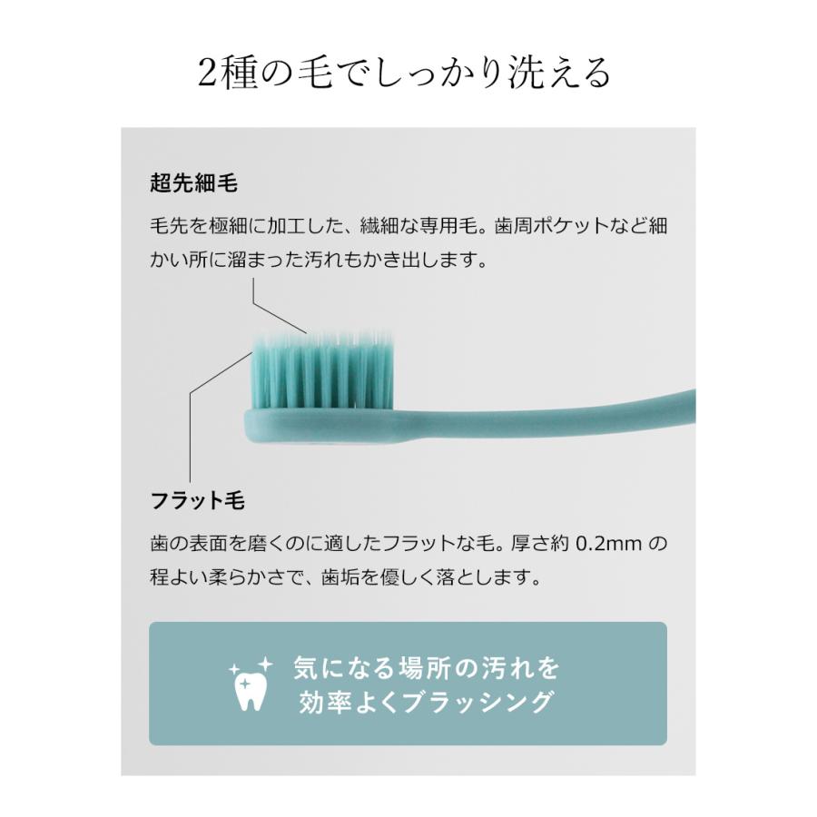 奥歯のウラに届く穴あきハブラシ 4色セット ］歯ブラシ 4本セット 日本