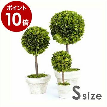 観葉植物 インテリア トピアリー 人工 プリザーブドフラワー