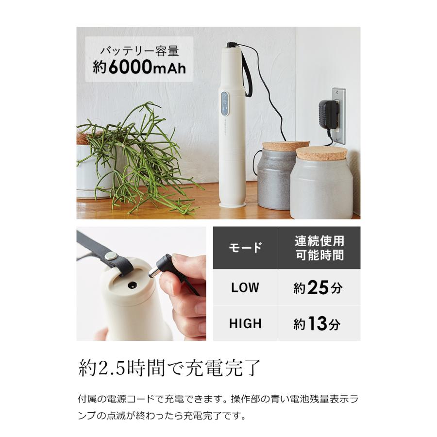 recolte（レコルト） 【特典付き】レコルト コードレス掃除機