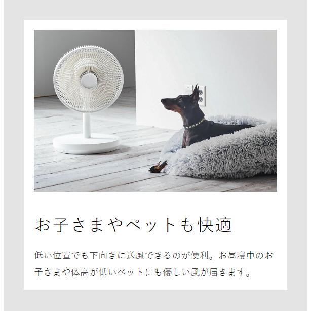 recolte（レコルト） ［ コードレス サーキュレーション扇風機 ］特典