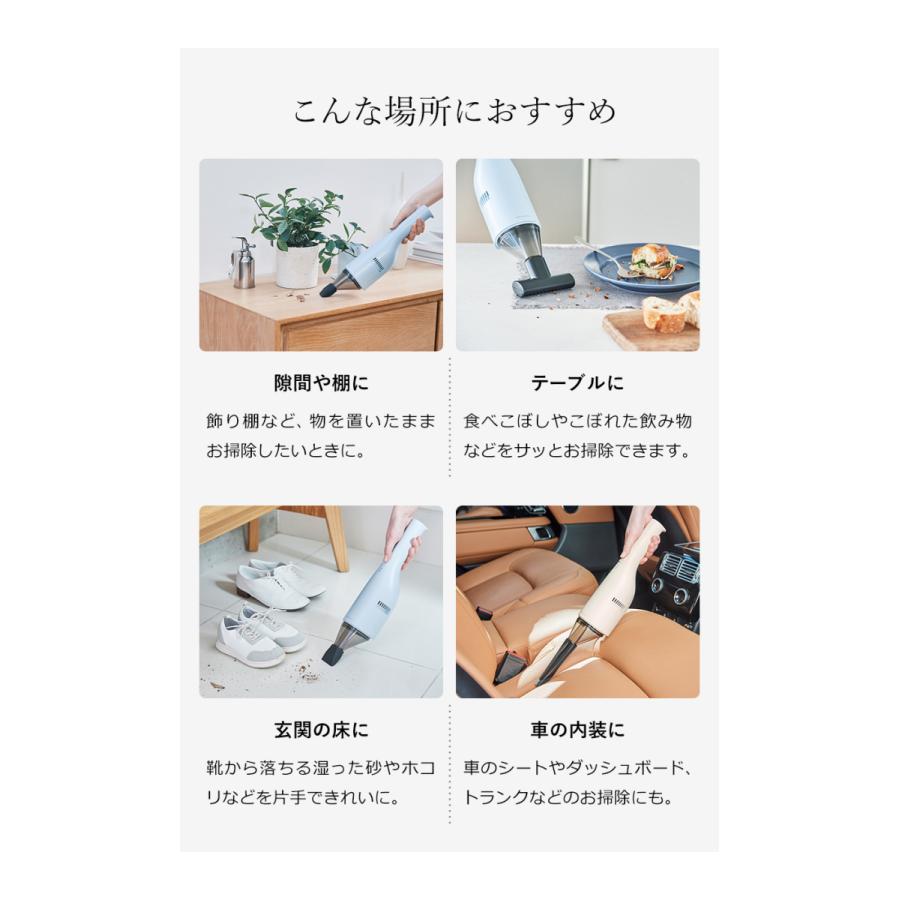 recolte（レコルト） 特典付［ コードレス ウェット＆ドライクリーナー