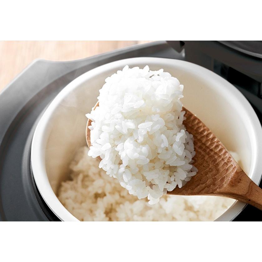 recolte（レコルト） ［ コンパクト ライスクッカー ］特典付 炊飯器