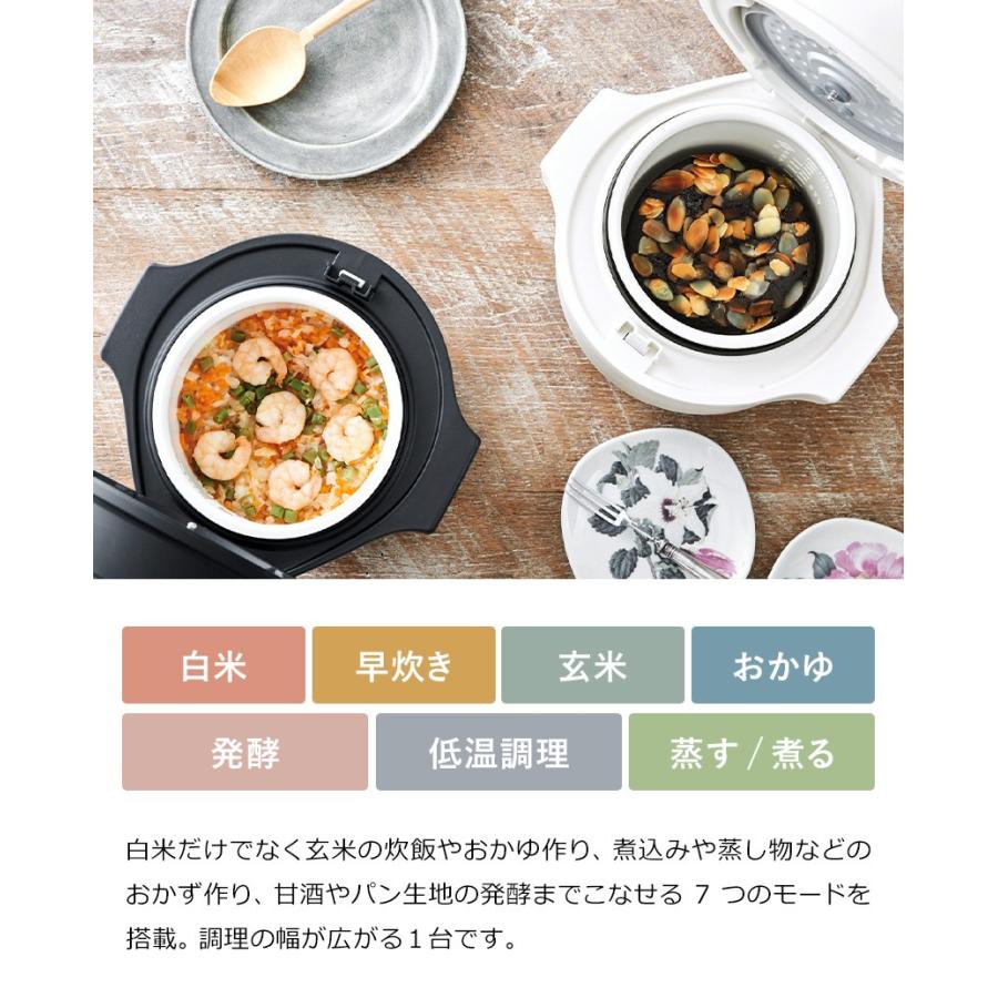recolte（レコルト） ［ コンパクト ライスクッカー ］特典付 炊飯器