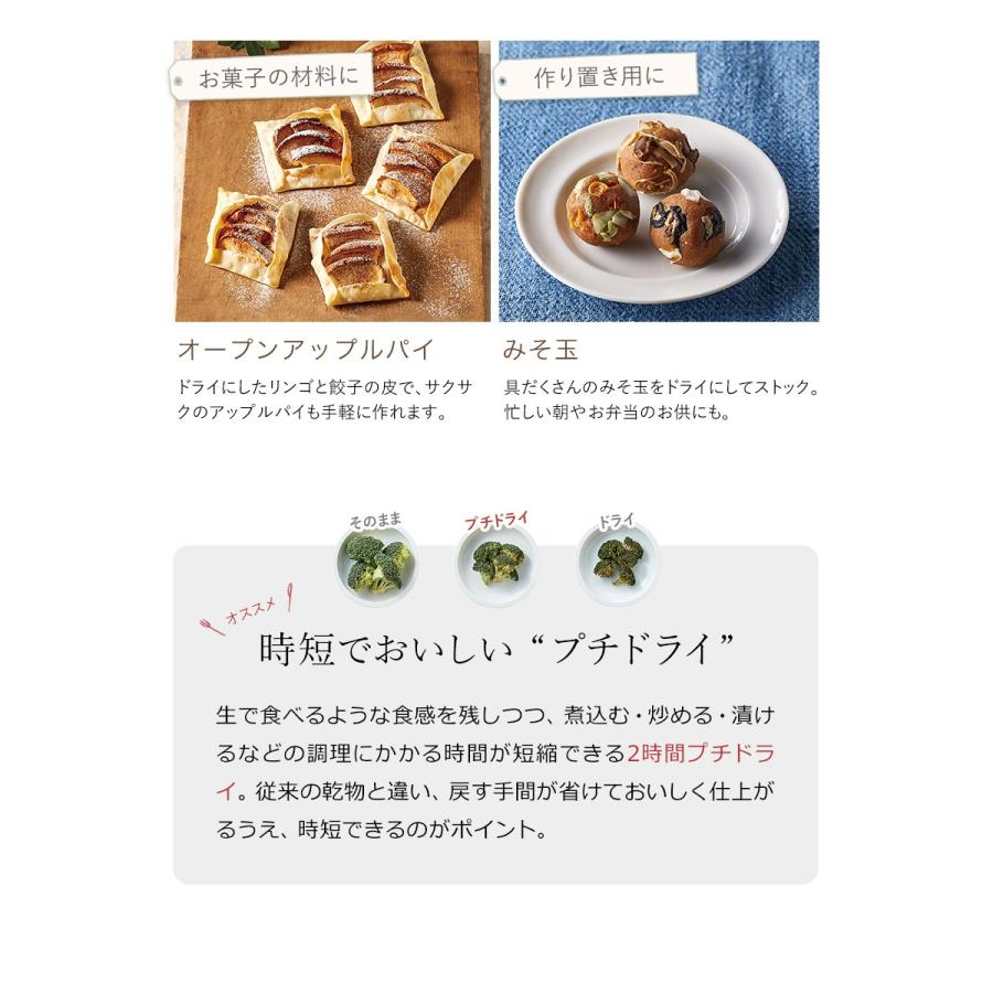 recolte Food Dryer レコルト フードドライヤー ドライフルーツメーカー おしゃれ サングリア タイマー コンパクト アイシングクッキー 食品乾燥機｜roomy｜07