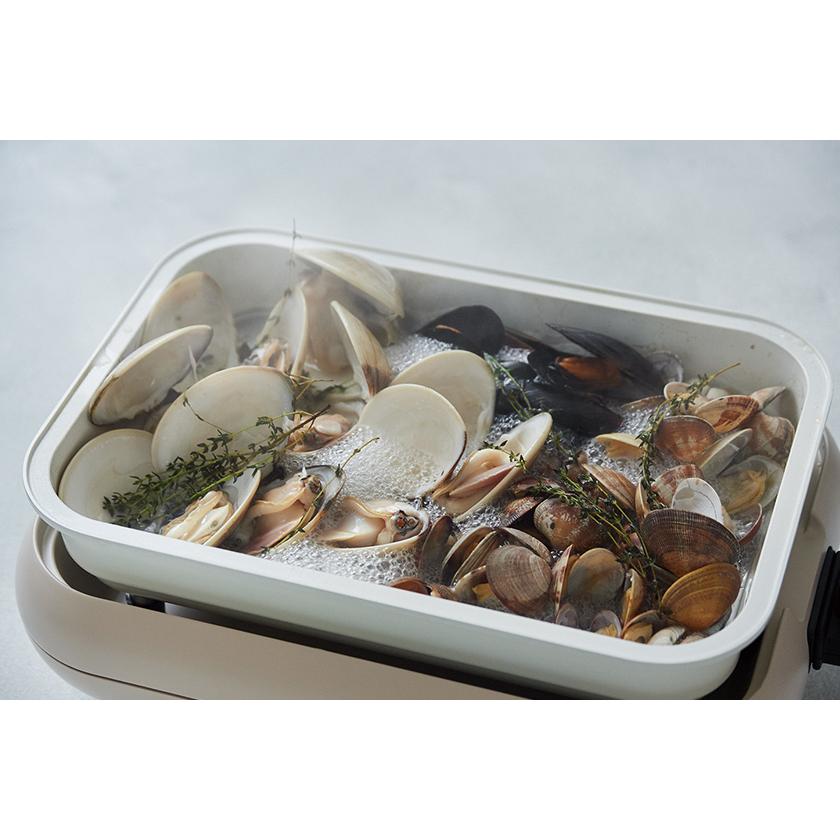 recolte（レコルト） 3大特典［ recolte Hot Plate セラミックスチーム