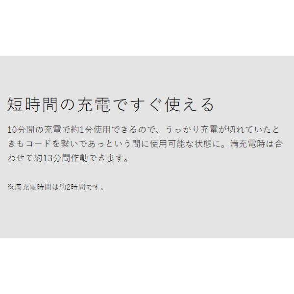 ［ recolte コードレスハンディブレンダー ］特典付 レコルト ハンドブレンダー コードレス ハンドミキサー 充電式 氷 砕ける ハンディーブレンダー RHB-2｜roomy｜09