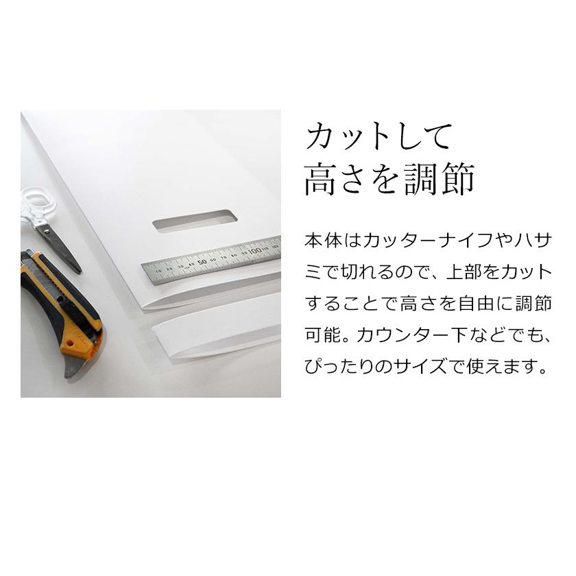 新品未開封 ターミナリアスリム２袋セット アミノセルス製薬公式通販