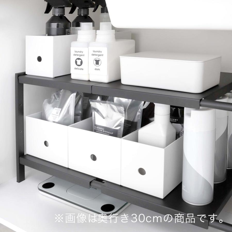 tower 特典付［ 伸縮シンク下ラック 2段 タワー D40 ］山崎実業