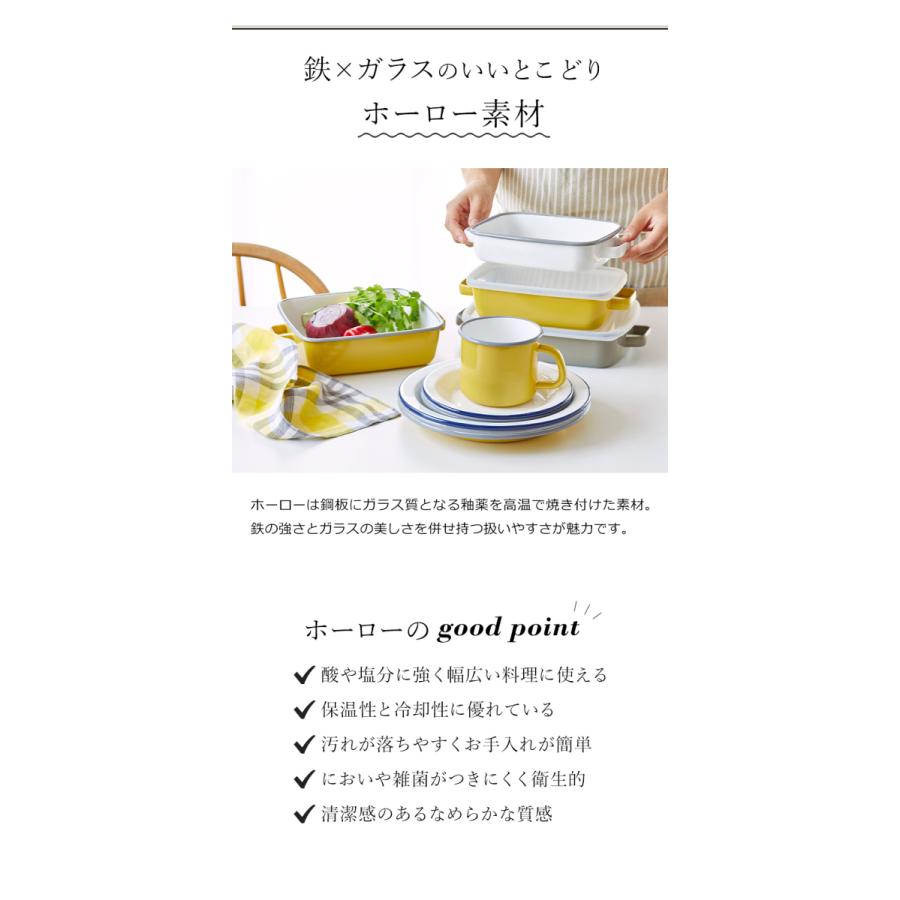 365methods（サンロクゴメソッド） ホーロー 保存容器 フタ付き バット