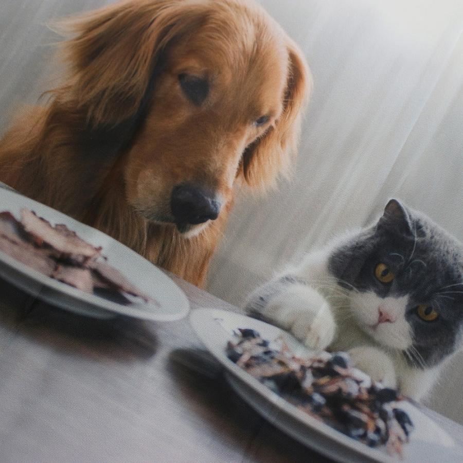 【ルートート公式】ルートート ルーショッパーMID-Lifty-フォト-B（全4種） 品番6756 | ROOTOTE | 15